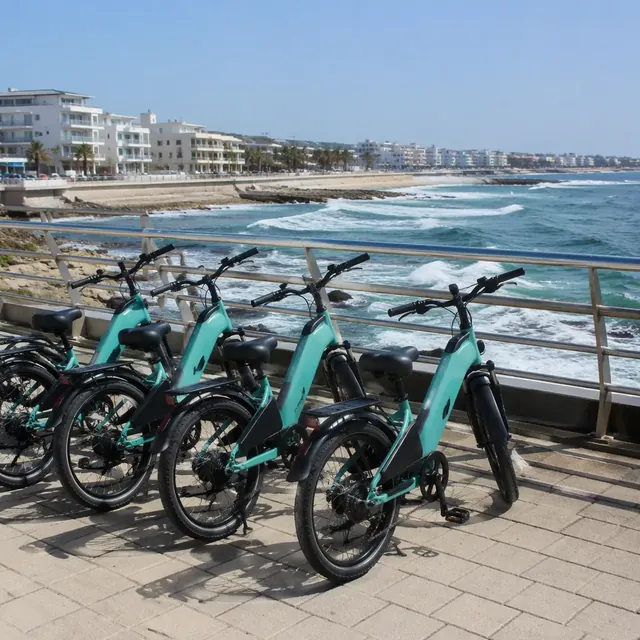 Tourism rental e-scooters at seaside