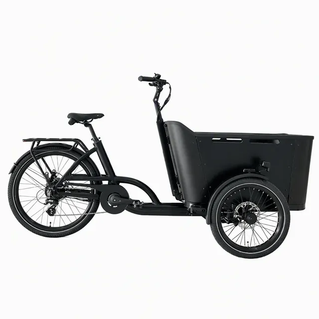 Compact cargo electric tricycle with front load platform